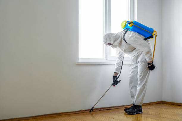 Best Pest Exclusion Services  in Marmora, NJ